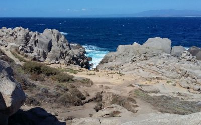 SOLO LOS QUE SIEMBRAN RECOGEN